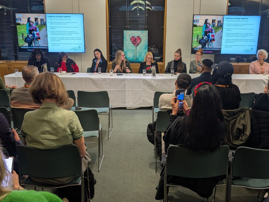 A photo taken at the parliamentary screening of Lollipop with the panel